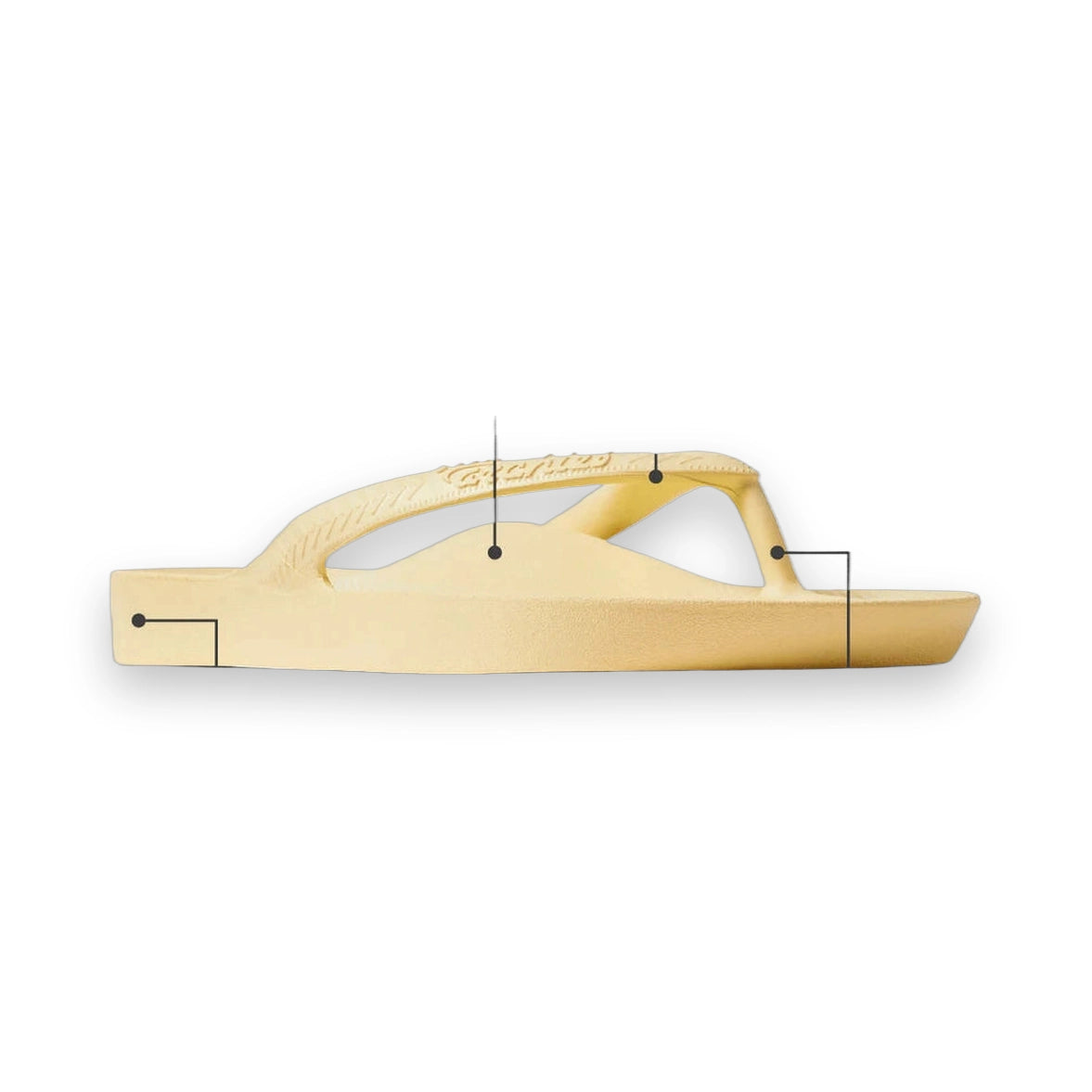 Archies Thongs - Womens