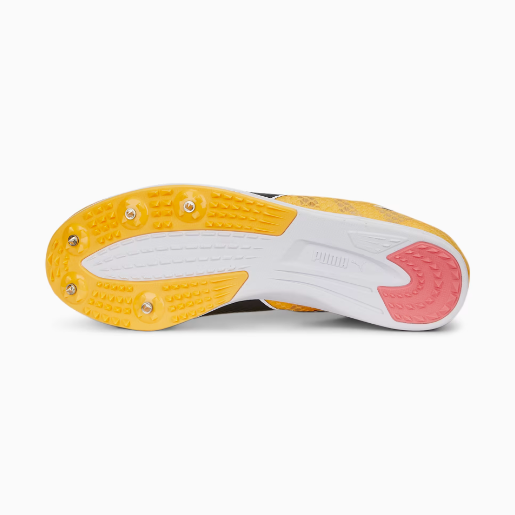 Puma evoSPEED Distance 11 - Mens