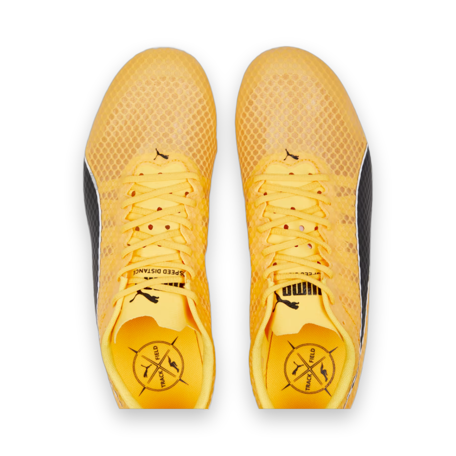 Puma evoSPEED Distance 11 - Mens